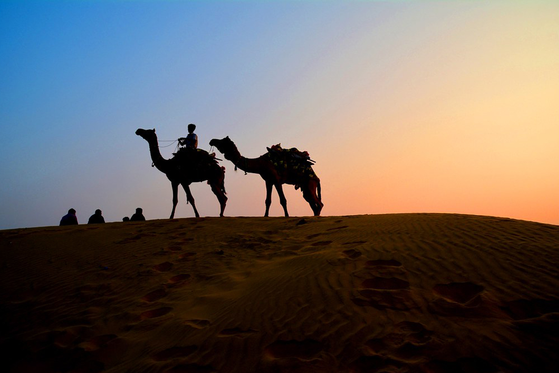 desert safari in jaisalmer